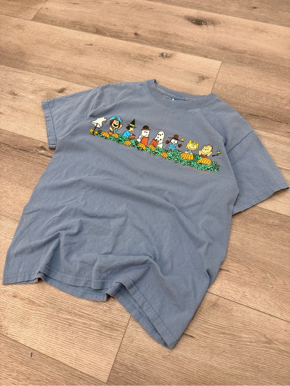Vintage Peanuts Snoopy Halloween T Shirt Mens M Blue Gray Pumpkin Charlie Brown